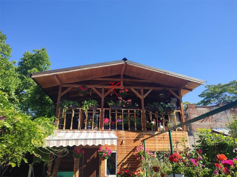 Doua camere in vila, pet friendly